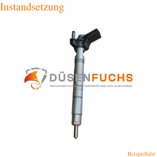Bosch 0445115042 / 0445115091 Instandsetzung