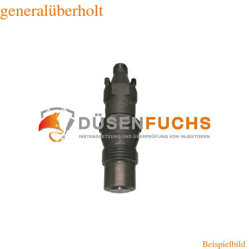 Bosch Injektor 0432217253 / 0986430245 generalüberholt