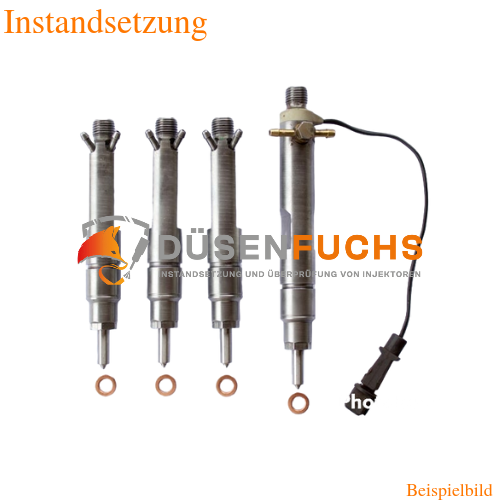 Bosch Einspritzdüsen 028130202S 028130202R AYQ - Ihre Einspritzdüsen instandsetzen lassen