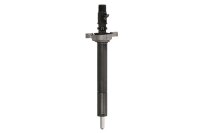 Delphi Injektor R06001D neu