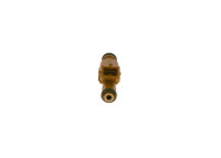 Bosch Einspritzventil 0280155831 neu