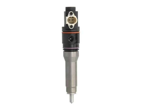 Delphi BEBJ1A05001 neu