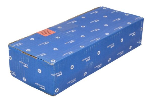 Delphi BEBE4C00101 neu