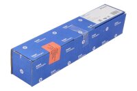 Delphi Injektor B05501A neu