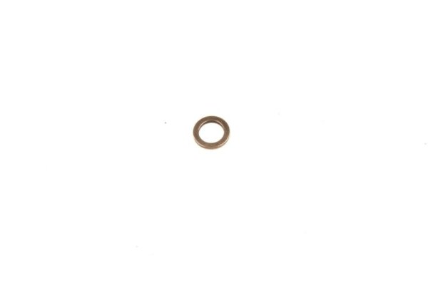 F00VC17003 Dichtring