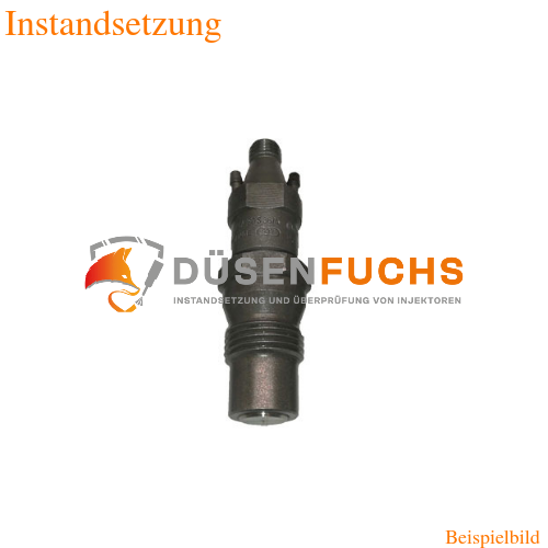 Einspritzdüsen 068130202E - Ihre Einspritzdüsen instandsetzen lassen