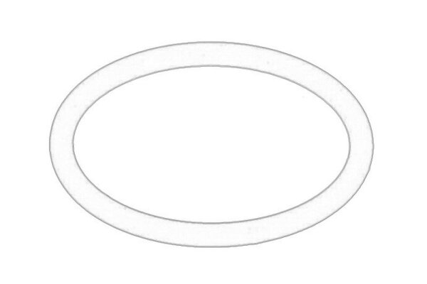 Dichtring 55495558 neu