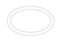 Dichtring 55495558 neu