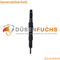 Injektor R00501Z Generalüberholt