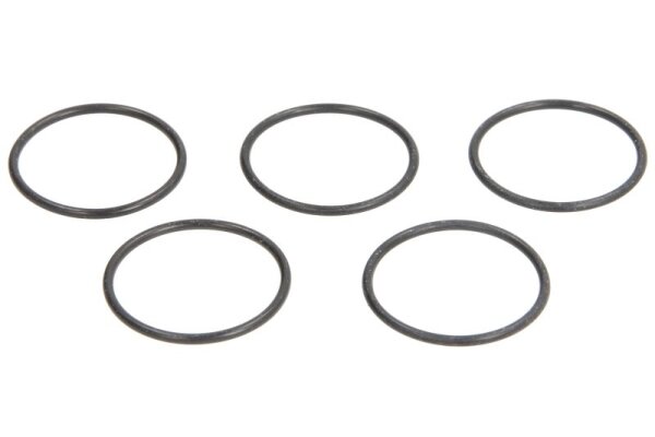 O-Ring Magnetventil Denso ENT250131