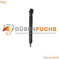 Delphi Injektor R00101DP Neu